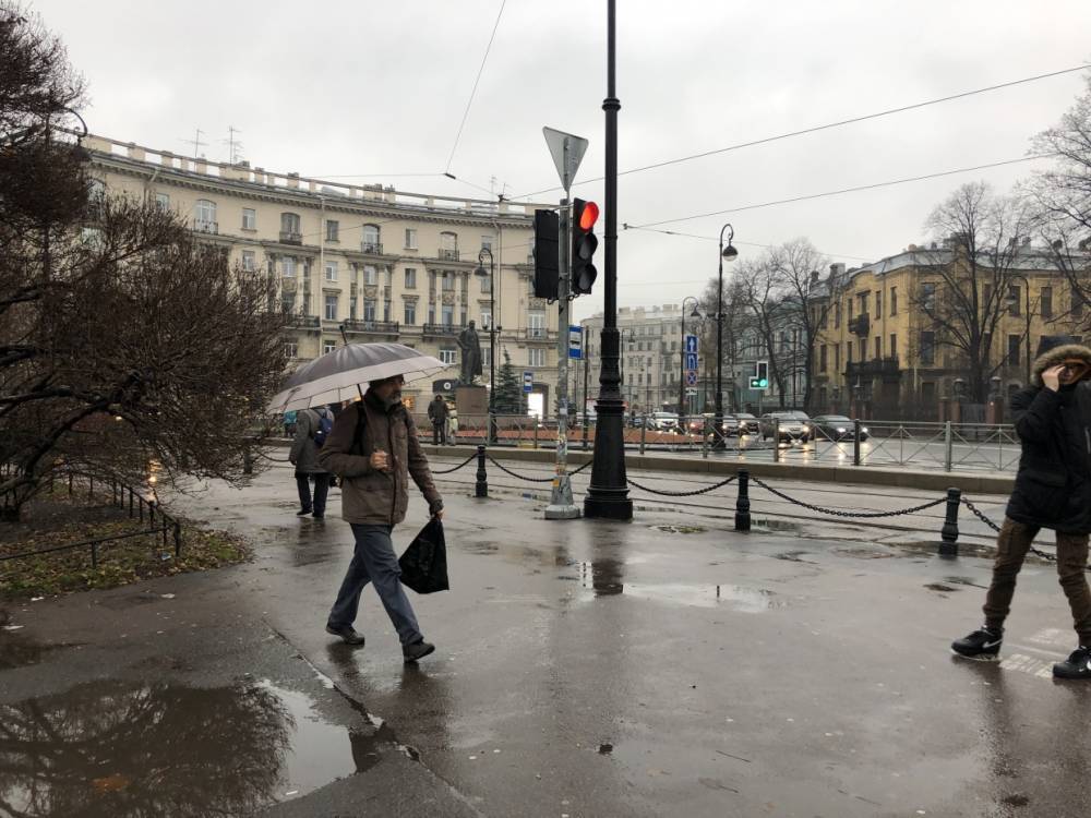 В Петербурге День народного единства пройдет с дождями и сильным ветром