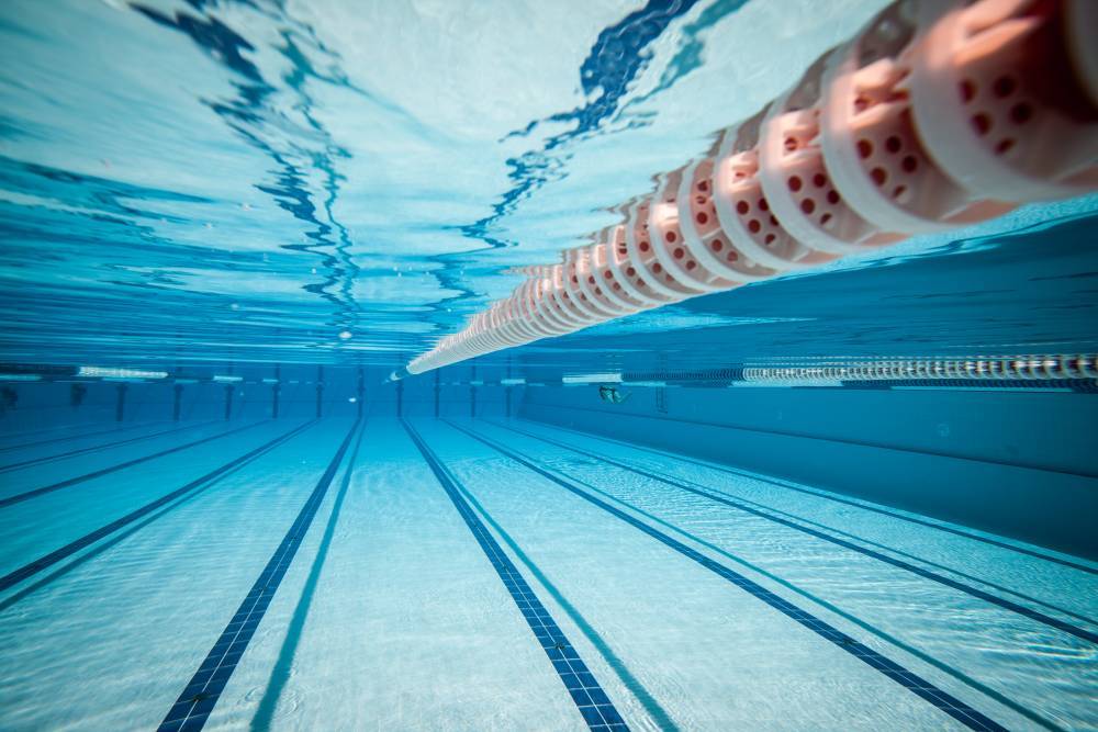 Сборная России завоевала 34 медали на этапе КМ по плаванию в Казани
