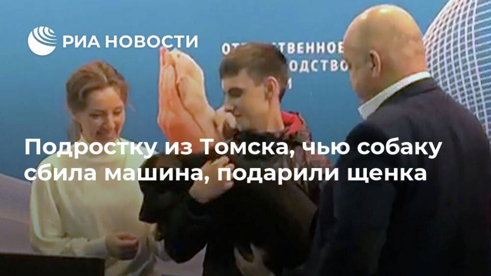 Подростку из Томска, чью собаку сбила машина, подарили щенка