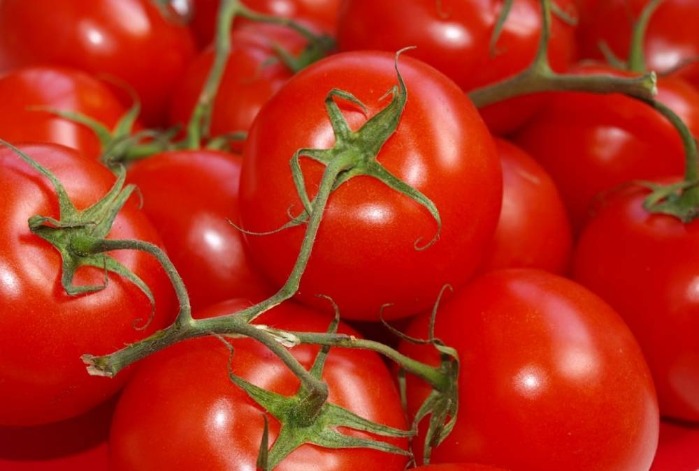 В Калининградскую область не пустили 22 тонны томатов из Северной Македонии