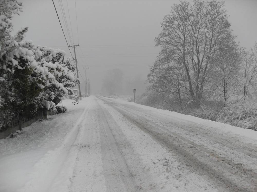 В МЧС предупредили жителей Ленобласти о снеге с сильным ветром 5 ноября