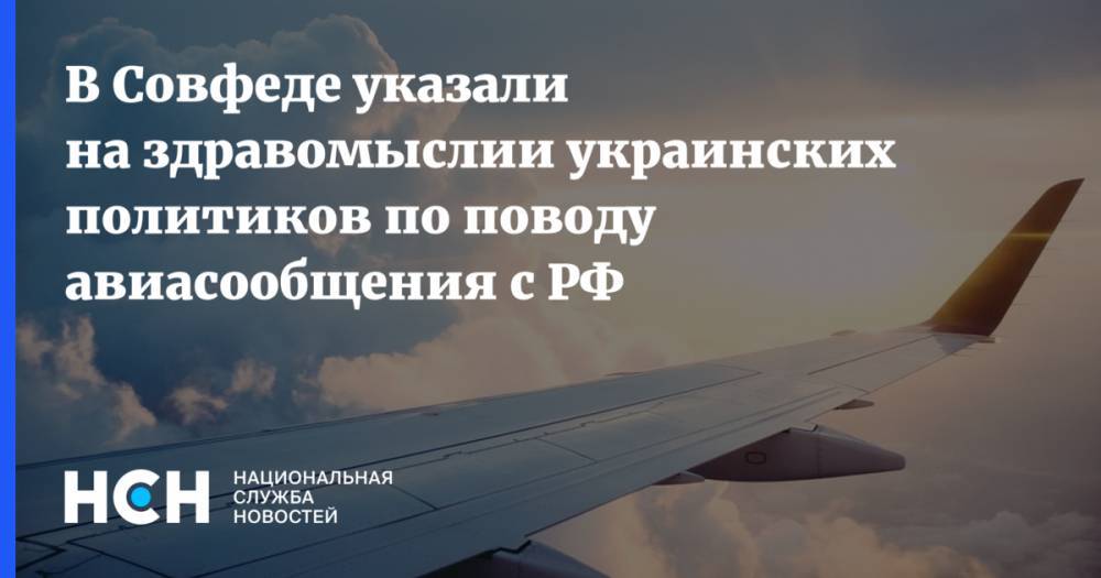 В Совфеде указали на здравомыслии украинских политиков по поводу авиасообщения с РФ