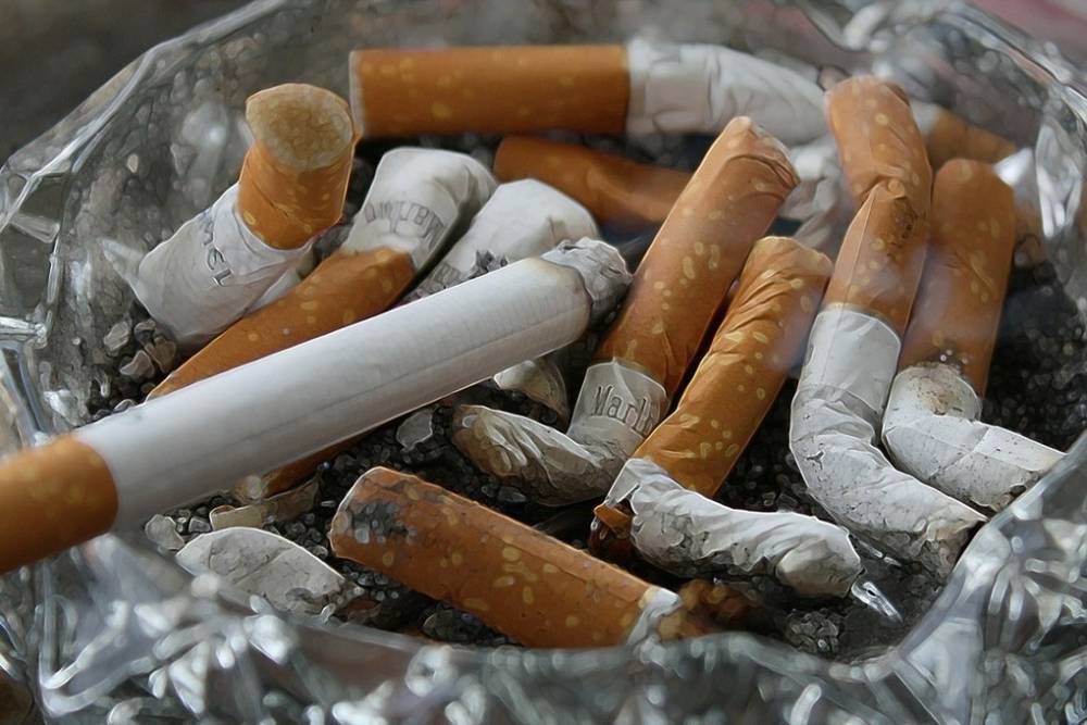 Ученые назвали сигаретные фильтры очень опасными для здоровья