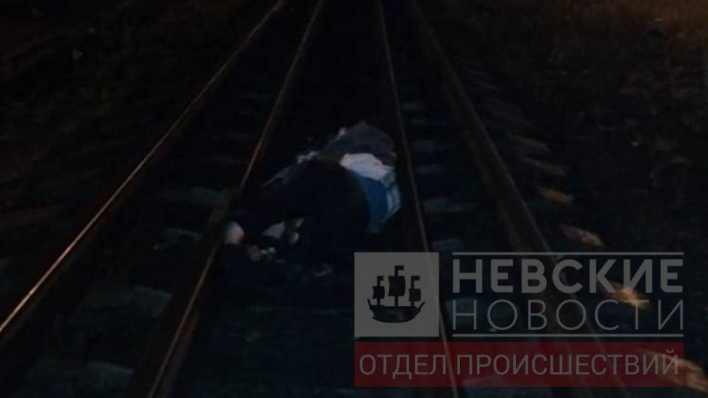 Появились фото бомжа без головы на железнодорожных путях на станции «Пискаревка»
