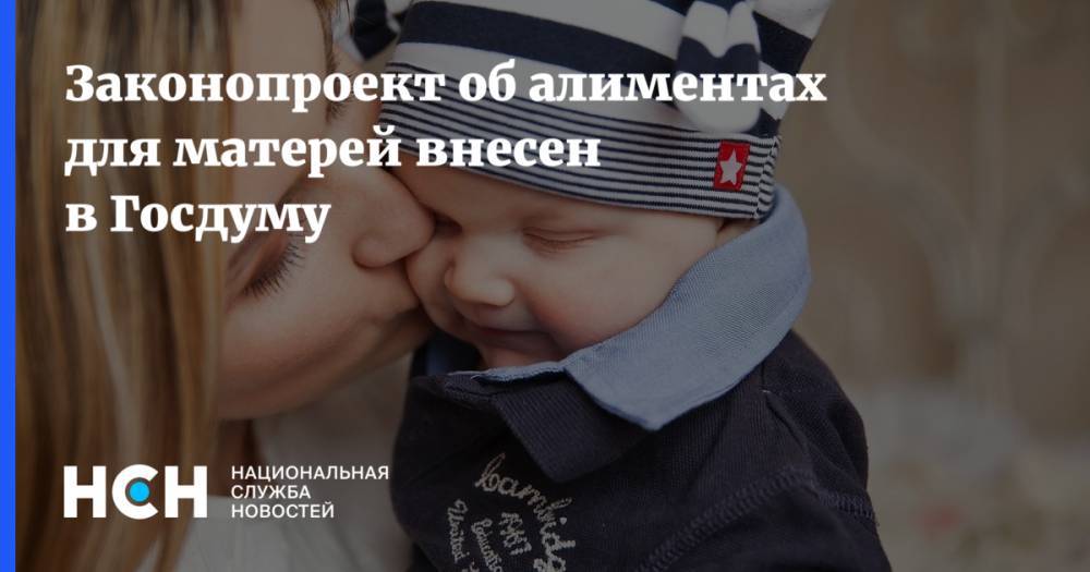Законопроект об алиментах для матерей внесен в Госдуму