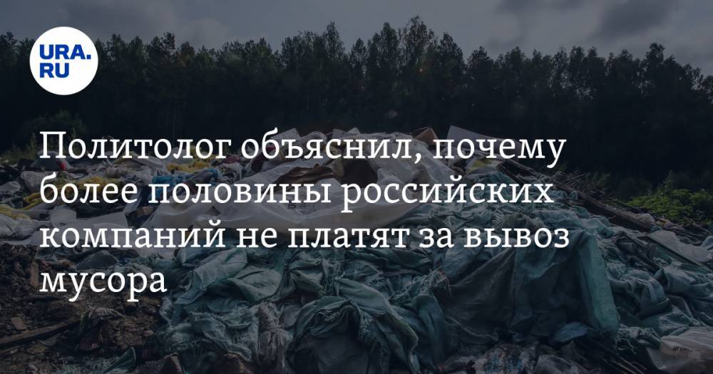 Политолог объяснил, почему более половины российских компаний не платят за вывоз мусора