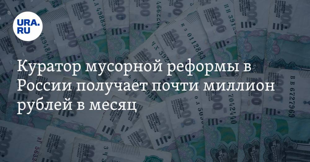 Куратор мусорной реформы в России получает почти миллион рублей в месяц