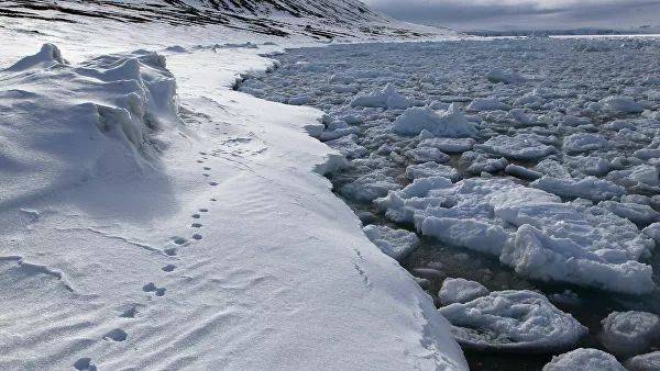 Чувашские школьники открыли остров в Арктике