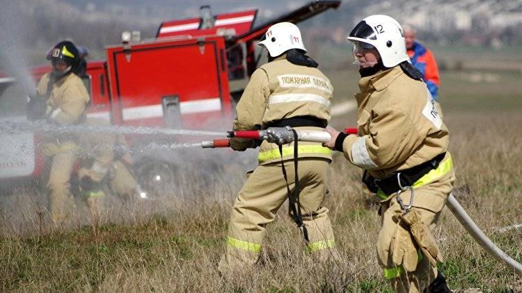 Названа причина рекордного числа пожаров в Крыму на минувших выходных