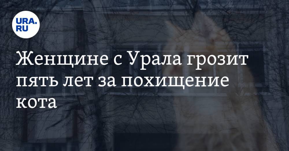 Женщине с Урала грозит пять лет за похищение кота. ФОТО