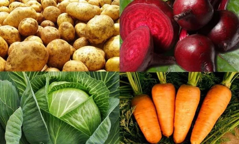 В Чудовском районе собрали 60 % всех овощей в регионе