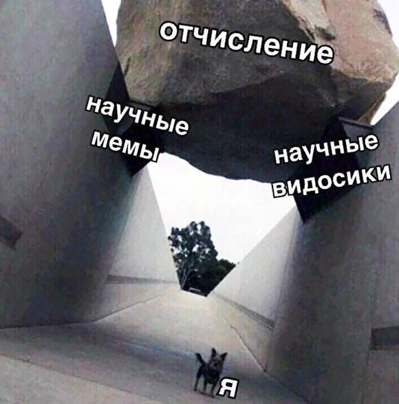 В Новосибирском госуниверситете студентов хотят отчислить за мемы в соцсетях