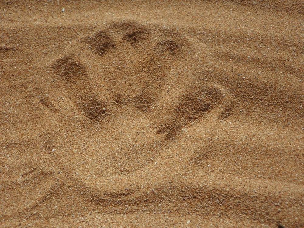 Мировой суд оштрафовал сегежский детсад за опасный песок на площадках