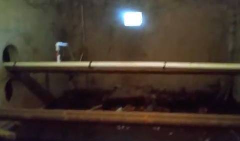 Жильцы многоэтажки в Саратове опубликовали жуткое видео с червями