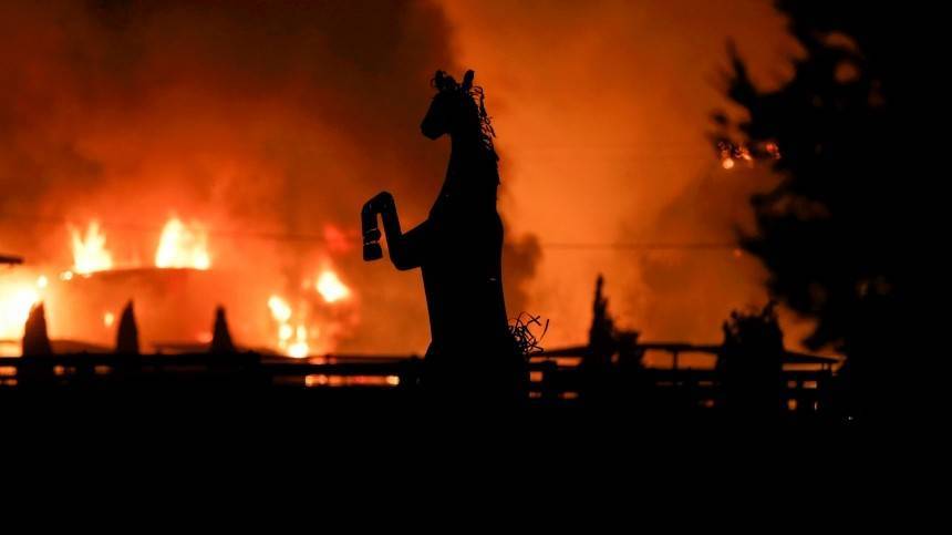 Видео: Лошадь героически спасает сородичей на пожаре в США