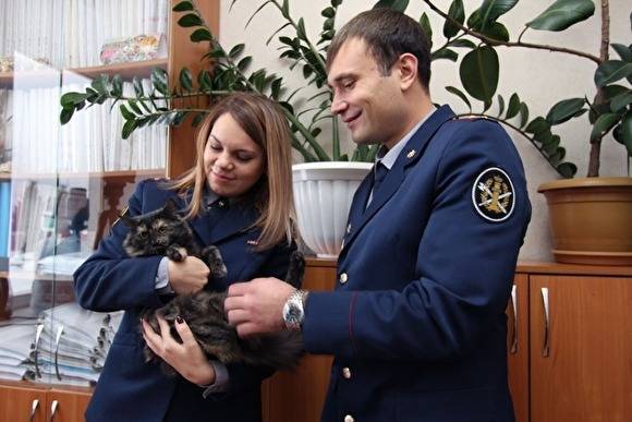 Кота-наркокурьера в Татарстане определили в приют