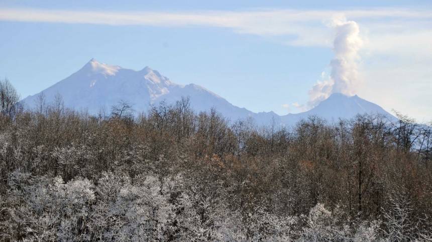 Вулкан Шивелуч на Камчатке выбросил пепел на высоту шести километров