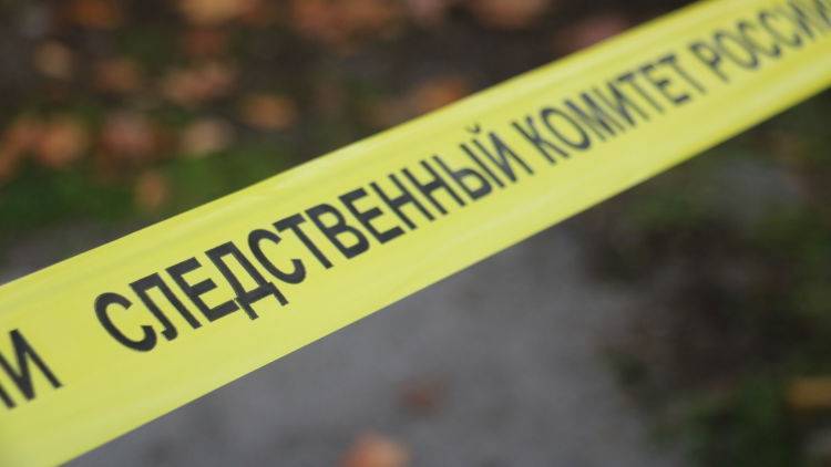 В Евпатории разыскивают убийцу женщины, тело которой нашли у элеватора