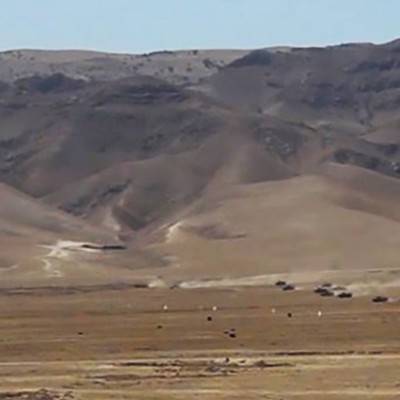 Боевики напали на погранзаставу на таджикско-узбекской границе