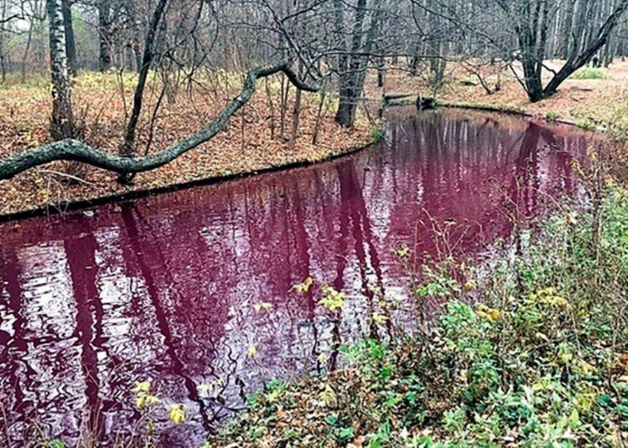 "Мосводосток" объяснил причину окрашивания "багровой реки" на севере Москвы