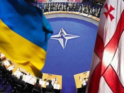 В Украину прибыла оценочная миссия НАТО - Cursorinfo: главные новости Израиля