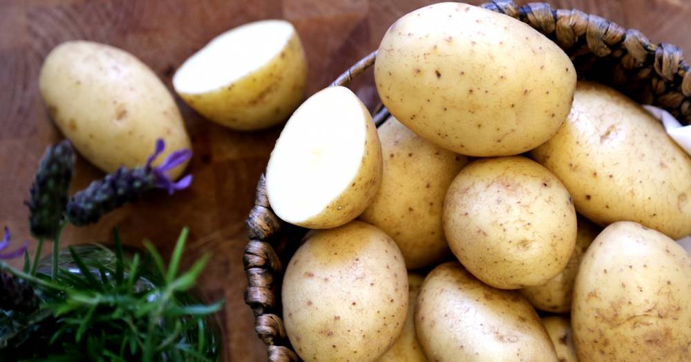 Найден способ борьбы с&nbsp;гнилым картофелем