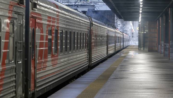 29 детей отравились в поезде Владикавказ - Москва