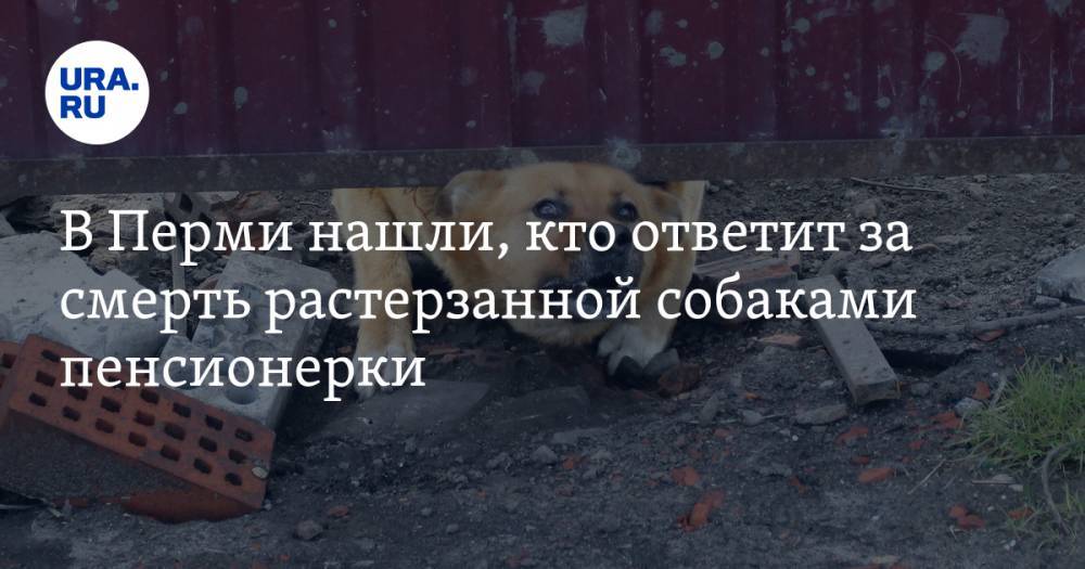 В Перми нашли, кто ответит за смерть растерзанной собаками пенсионерки