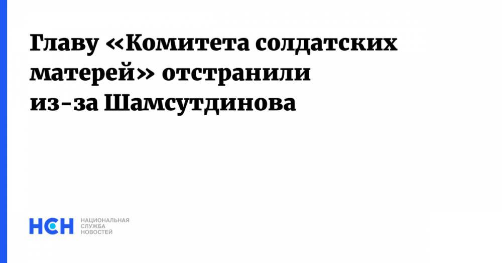 Главу «Комитета солдатских матерей» отстранили из-за Шамсутдинова