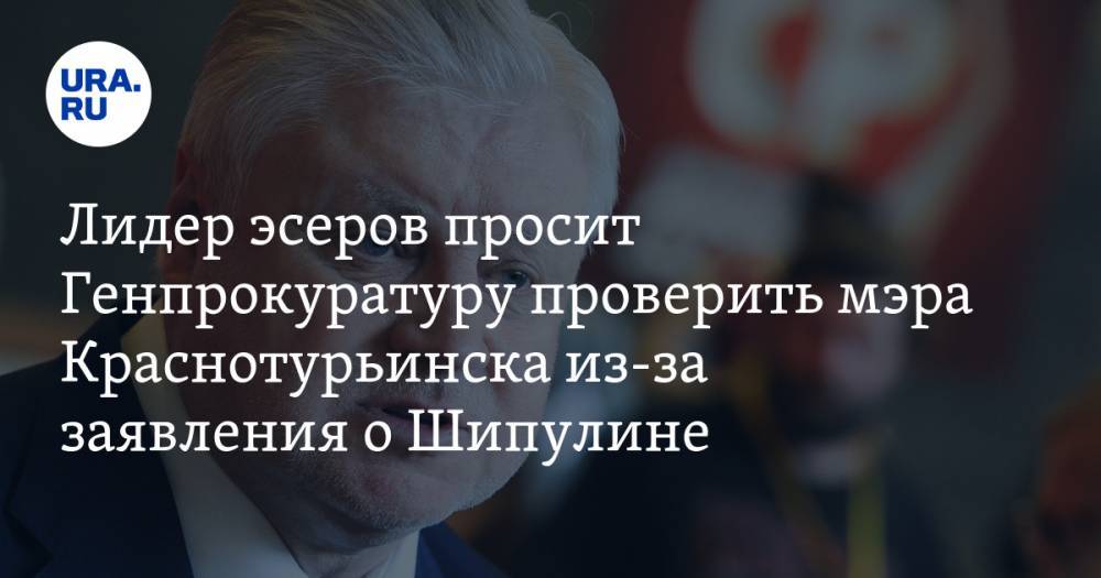 Лидер эсеров просит Генпрокуратуру проверить мэра Краснотурьинска из-за заявления о Шипулине