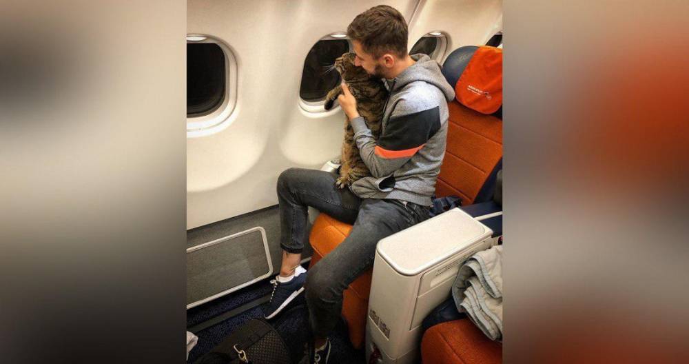 Мужчину не пустили в самолет в Шереметьево из-за толстого кота