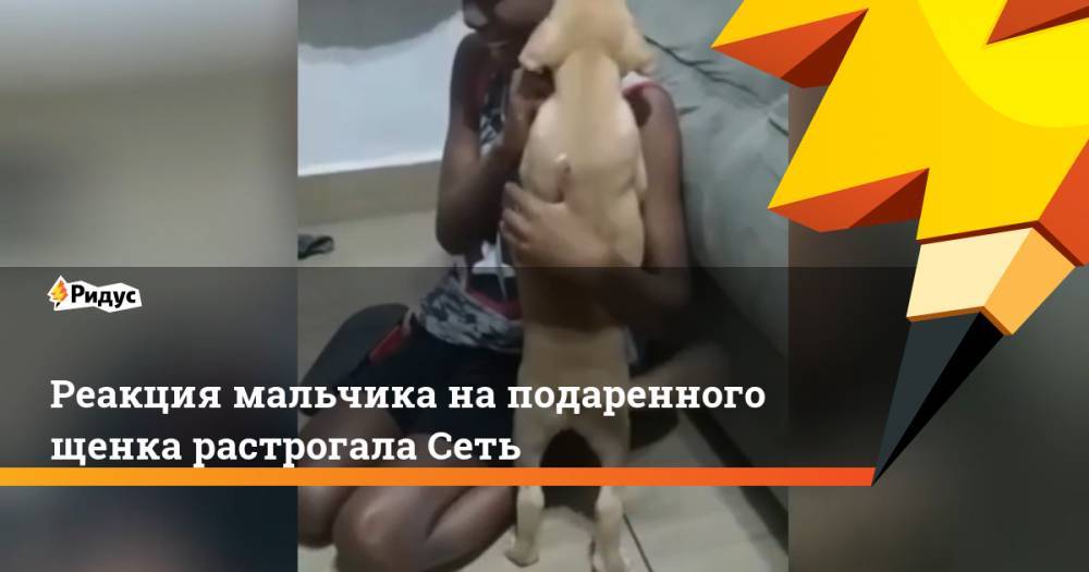 Реакция мальчика на подаренного щенка растрогала Сеть
