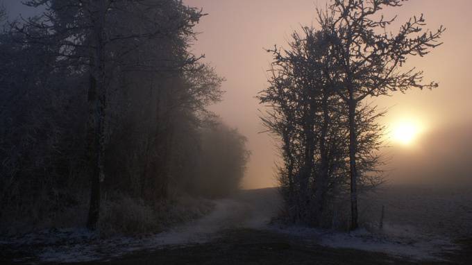 В ближайшие три дня в Ленобласти ожидается снег, туман и гололед