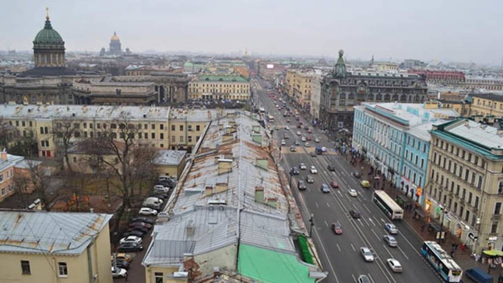 До конца года Петербург выкупит в собственность еще 17 социальных объектов