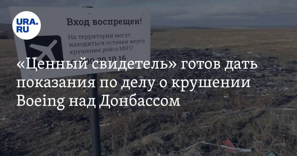«Ценный свидетель» готов дать показания по делу о крушении Boeing над Донбассом
