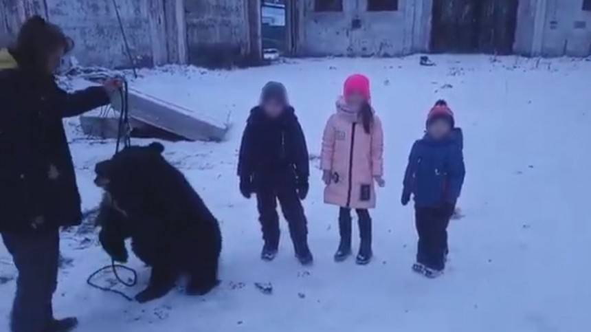 Жители Иркутской области возмущены издевательствами над медведем — видео