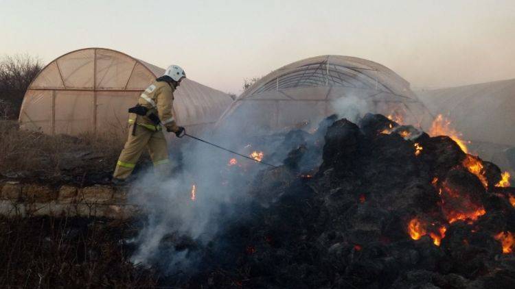 Огонь и ветер: в Нижнегорском районе ликвидировали пожар - фотофакт