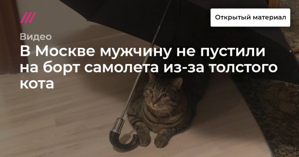 В Москве мужчину не пустили на борт самолета из-за толстого кота