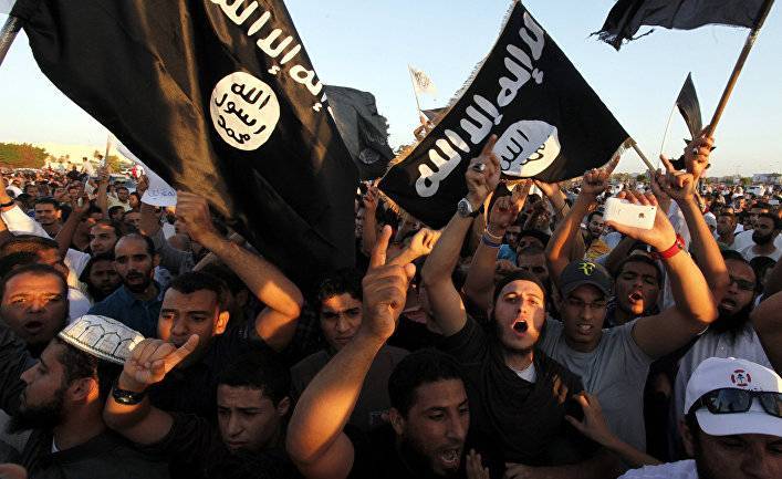 Халиф, предводитель и шейх: как исламистские группировки выбирают своих лидеров? (Raseef22, Ливан)