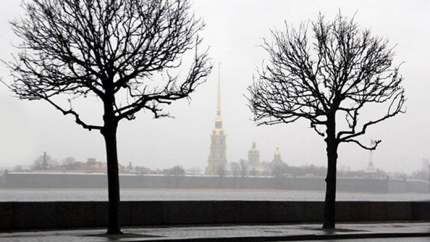 Синоптики заявили об аномально теплой зиме в Москве