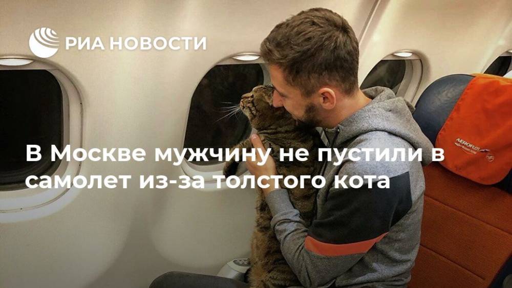 В Москве мужчину не пустили в самолет из-за толстого кота