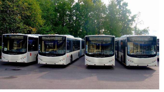 На улицы Петербурга в экспериментальном режиме выйдут автобусы цветов "Зенита"