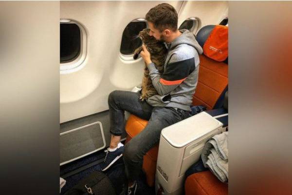 В Шереметьево пассажира не пустили на рейс из-за слишком толстого кота