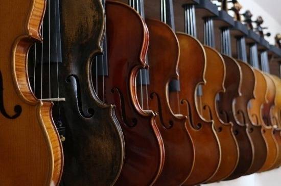 Комитет Госдумы поддержал проект о маркировке редких музыкальных инструментов