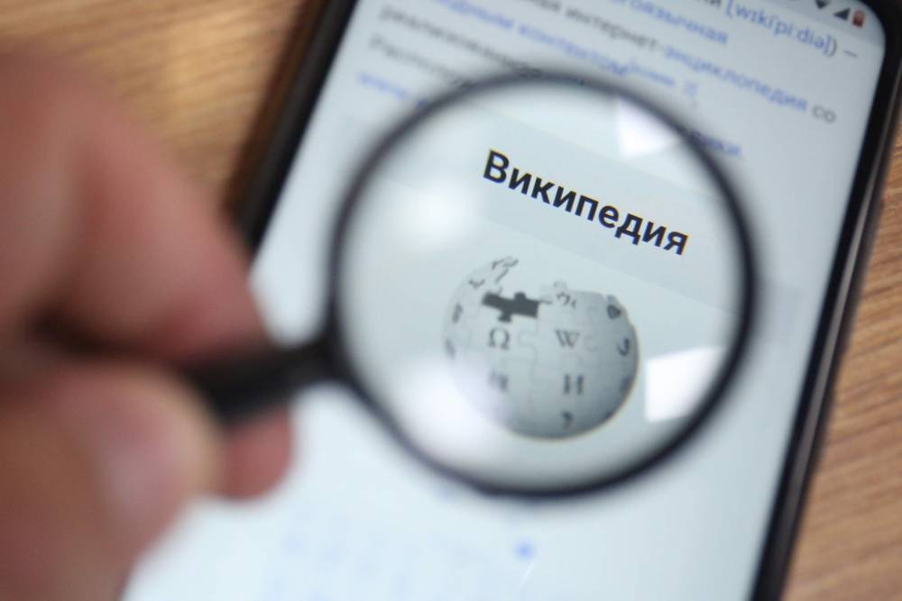 Закроют ли «Википедию» и каков предел ограничений в Рунете? Интервью главы Роскомсвободы