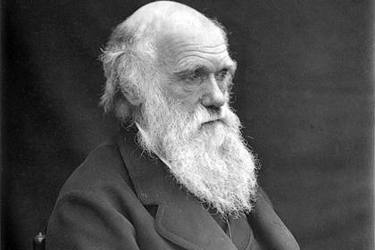 Опровергнута гипотеза Дарвина о зарождении жизни