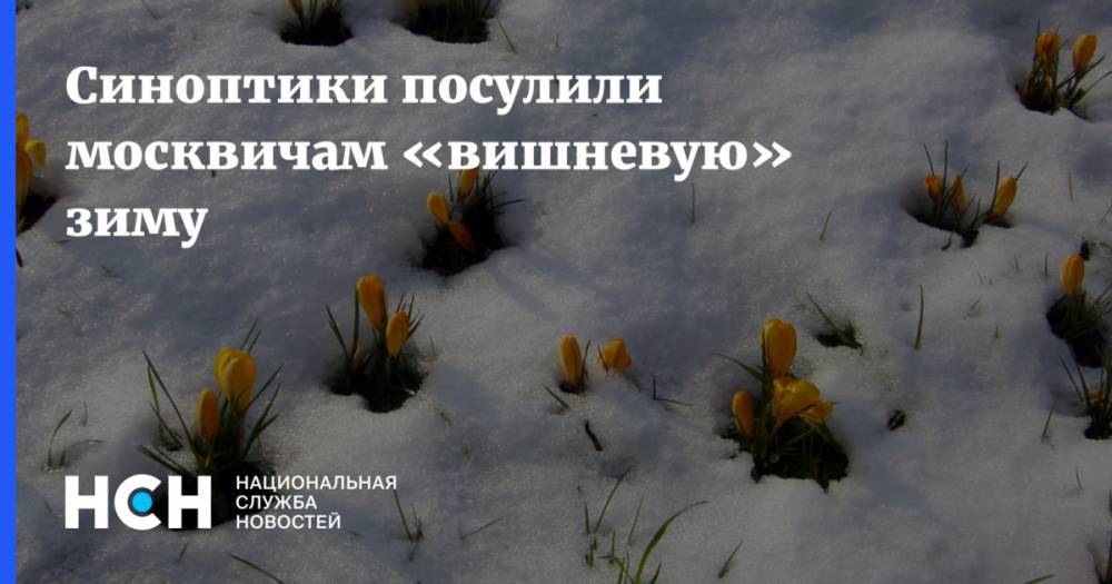 Синоптики посулили москвичам «вишневую» зиму