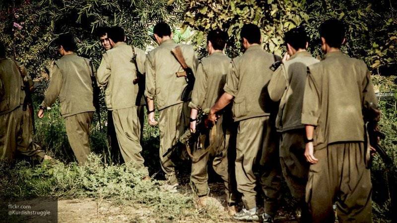 Банды курдов выполнили сочинские договоренности и покинули 30-километровую зону в Сирии