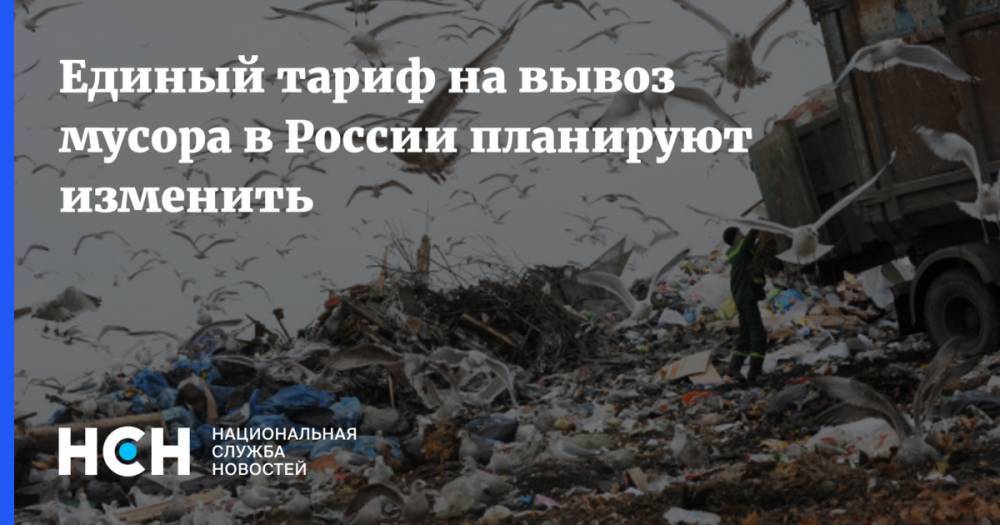 Единый тариф на вывоз мусора в России планируют изменить