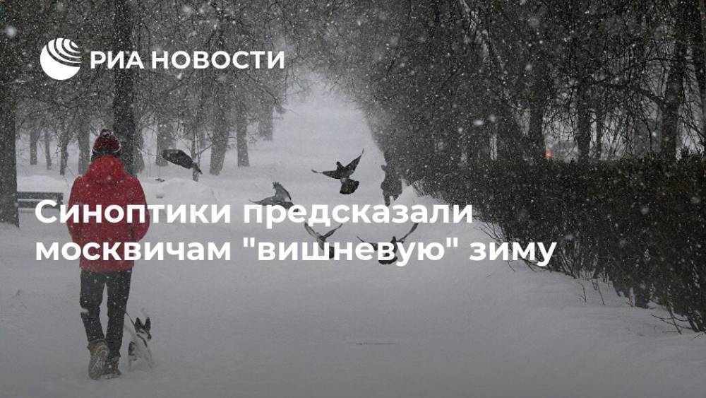 Синоптики предсказали москвичам "вишневую" зиму